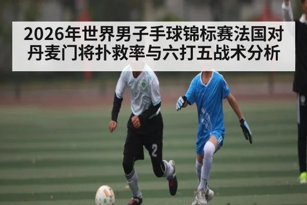 2026年世界男子手球锦标赛法国对丹麦门将扑救率与六打五战术分析（kaiyun）
